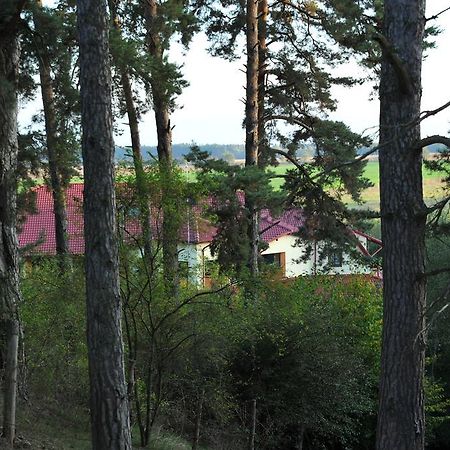 Hotel Rasarit De Soare Rotbav Exterior foto