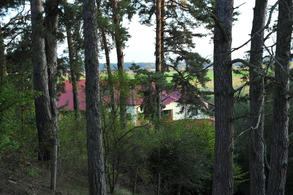Hotel Rasarit De Soare Rotbav Exterior foto